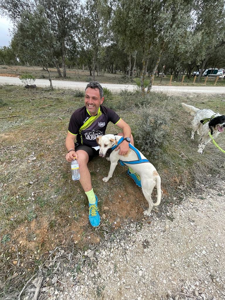 Mundial de Mushing Tierra en Olvega (Soria)